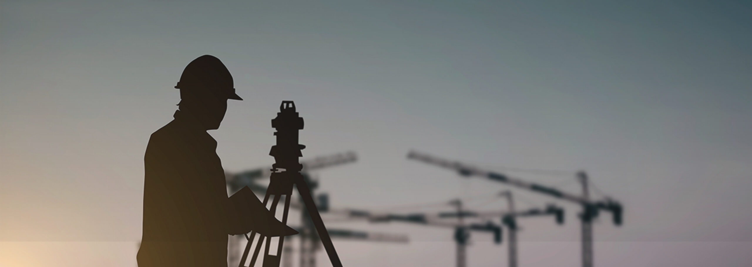 ページトップイメージ