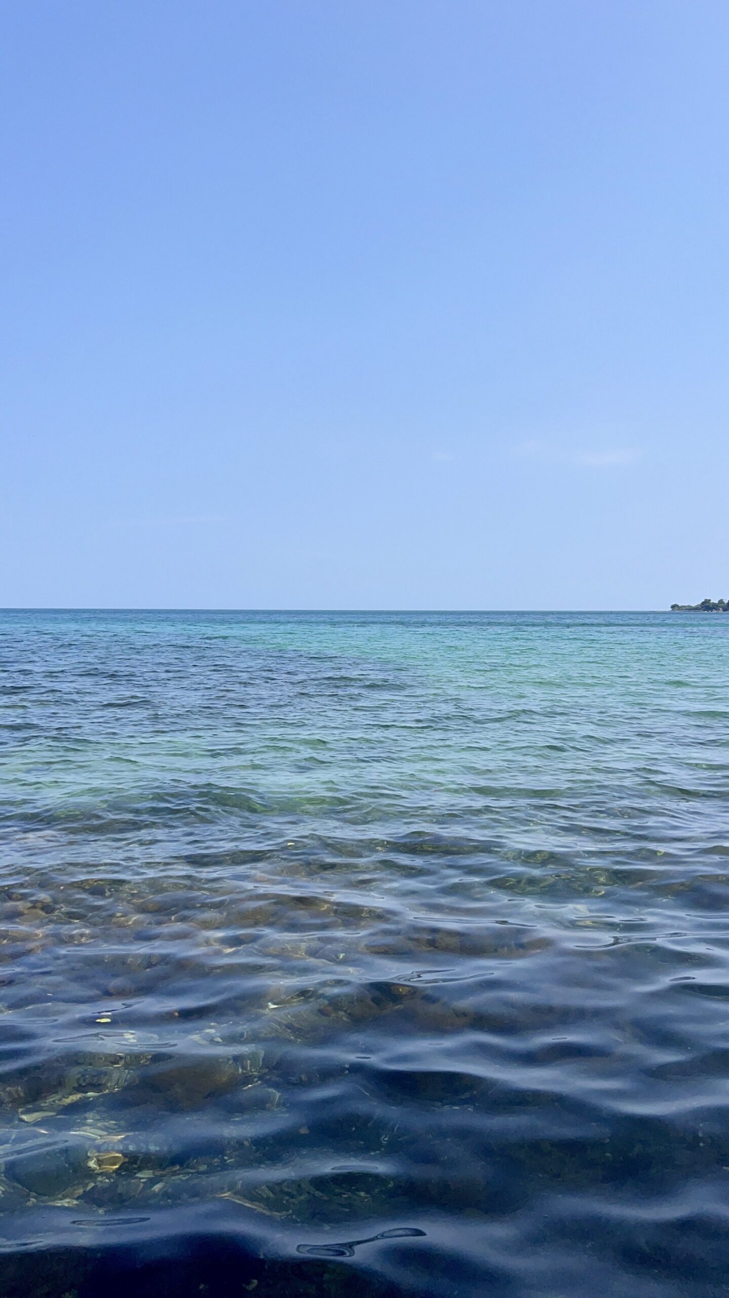 海
