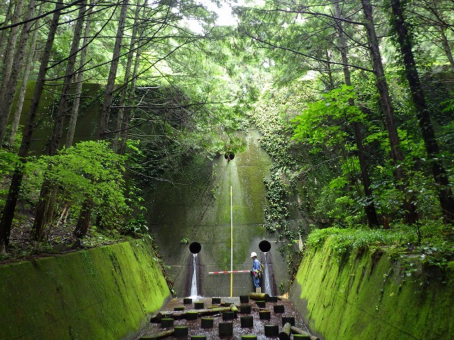 石段と森